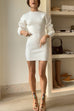 Crewneck Long Sleeves Bodycon Mini Sweater Dress